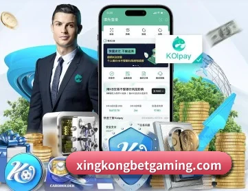 星空体育入口 APP 深度功能