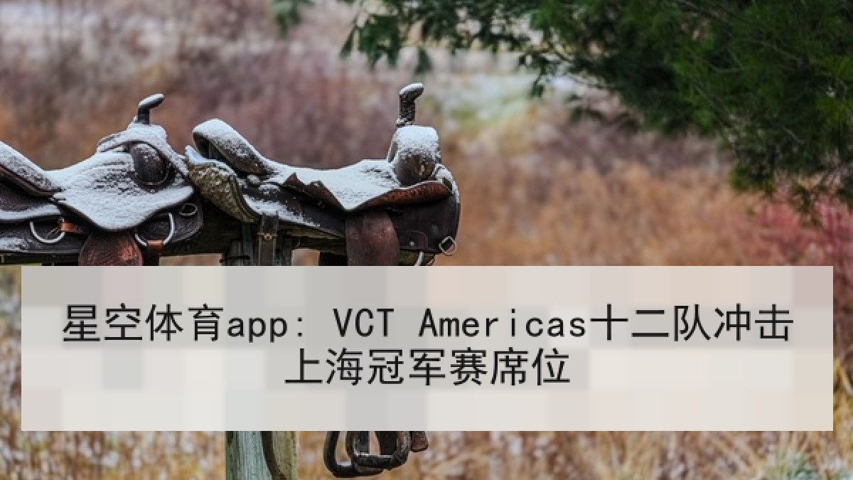 星空体育app: VCT Americas十二队冲击上海冠军赛席位