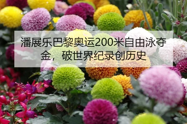 潘展乐巴黎奥运200米自由泳夺金，破世界纪录创历史