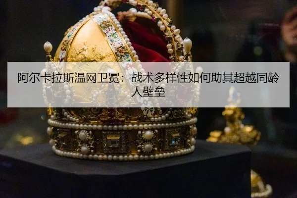 a-er-ka-la-si-wen-wang-wei-mian-zhan-shu-duo-yang-xing-ru-he-zhu-qi-chao-yue-tong-ling-ren-bi-lei-3-592.jpg