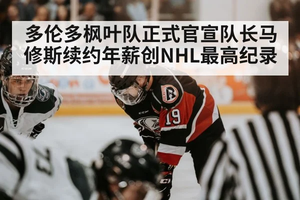 NHL ice hockey action