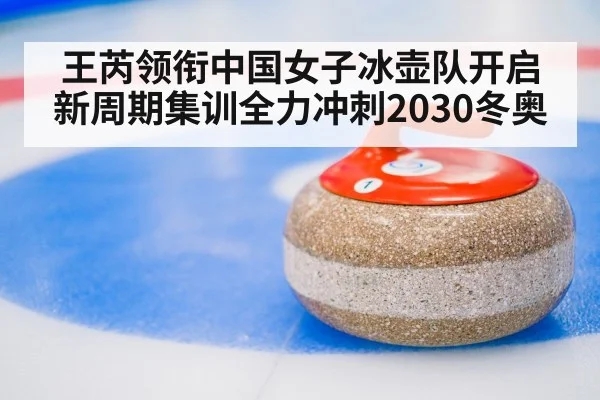 curling stone close-up
